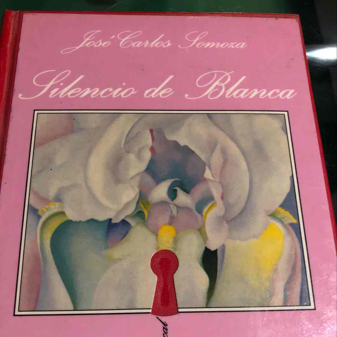 jos-carlos-somoza-silencio-de-blanca-