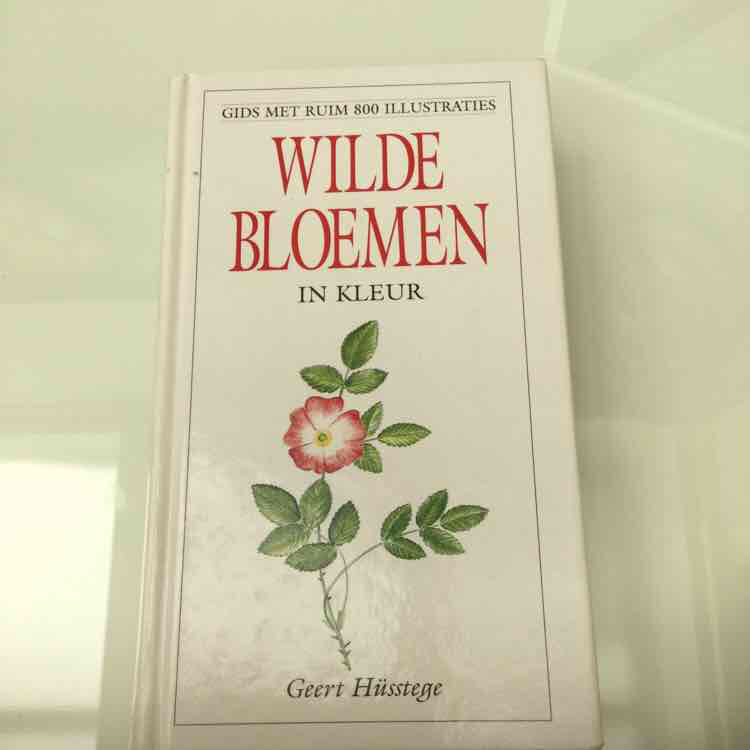 geert-hsstege-wilde-bloemen